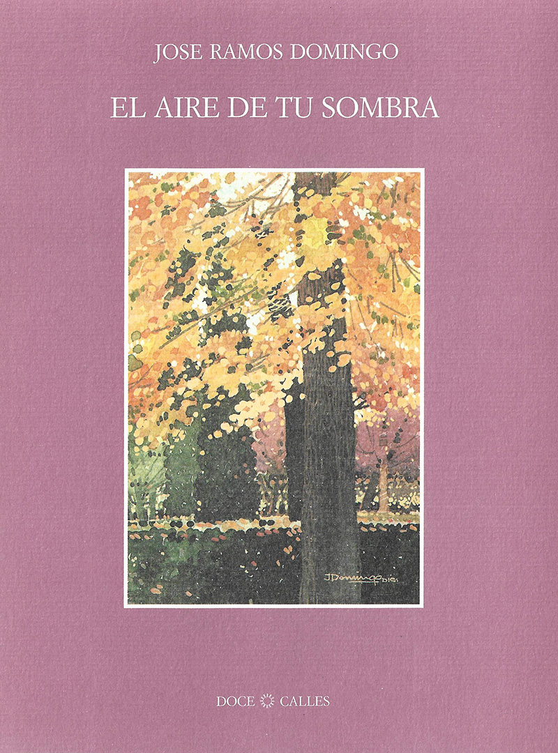 El aire de tu sombra