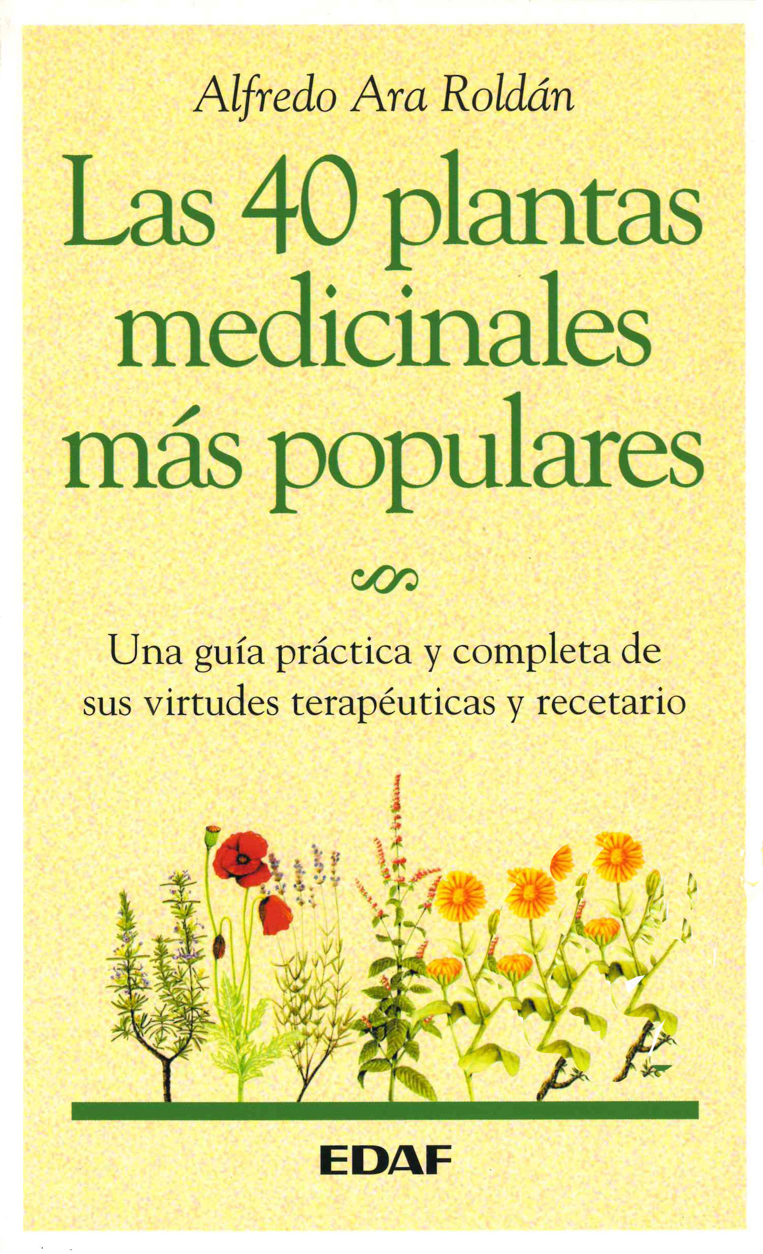 Las 40 plantas medicinales más populares