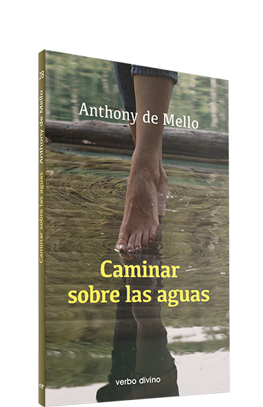 Caminar sobre las aguas