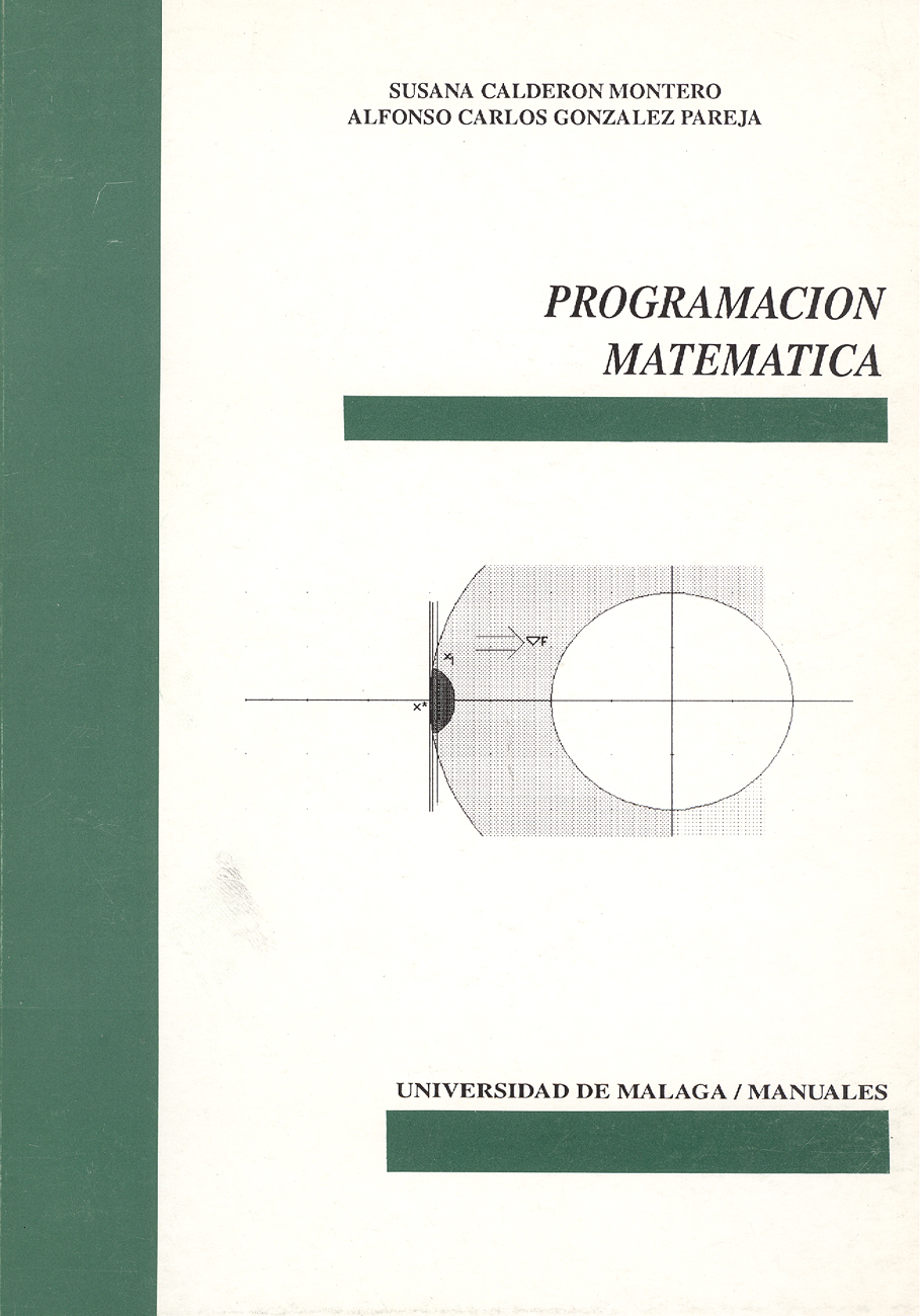 Programación matemática