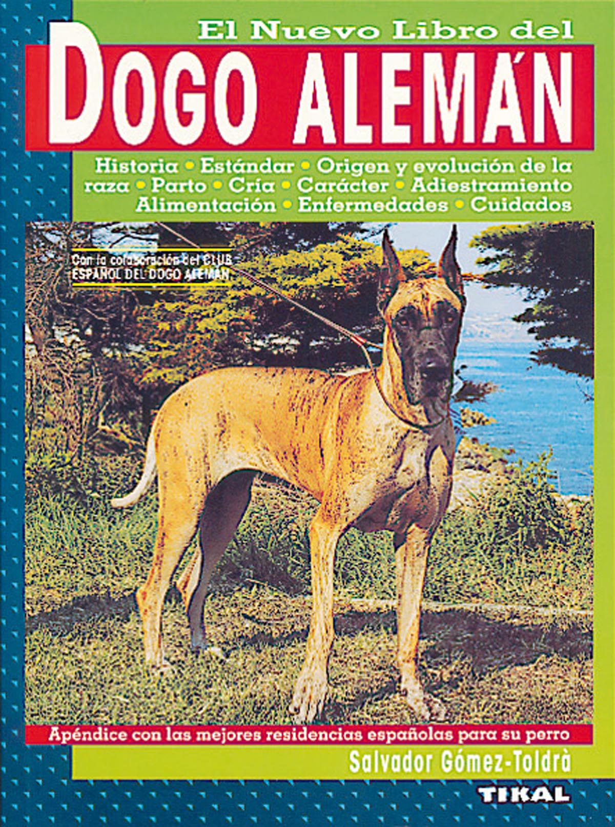 Dogo alemán