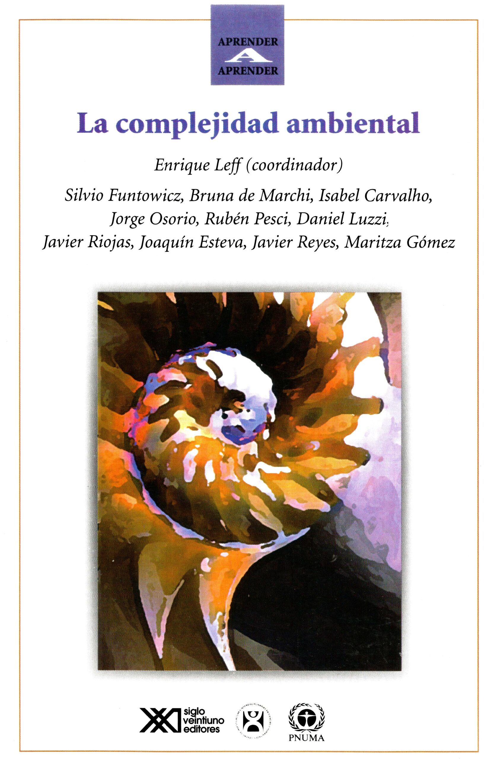 La complejidad ambiental