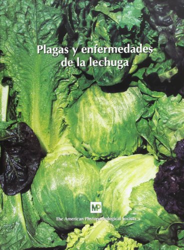 Plagas y enfermedades de la lechuga