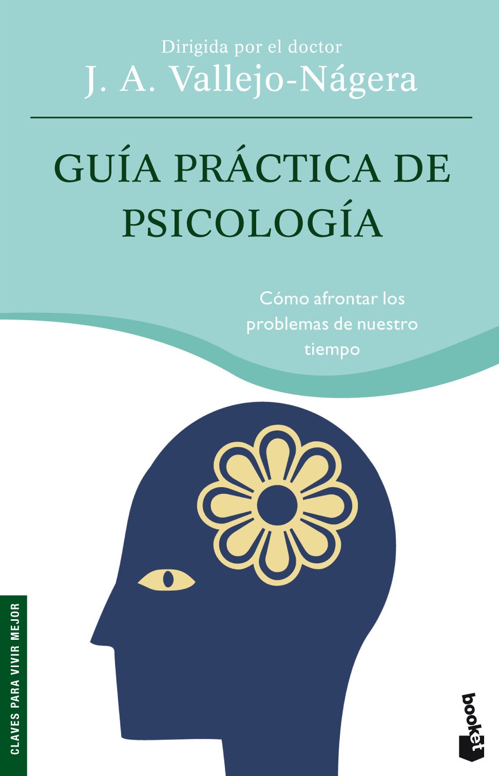 Guía práctica de psicología