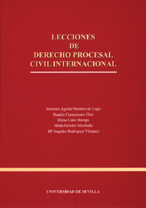 Lecciones de Derecho Procesal Civil Internacional