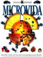 Microvida