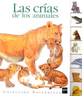 Las crías de los animales
