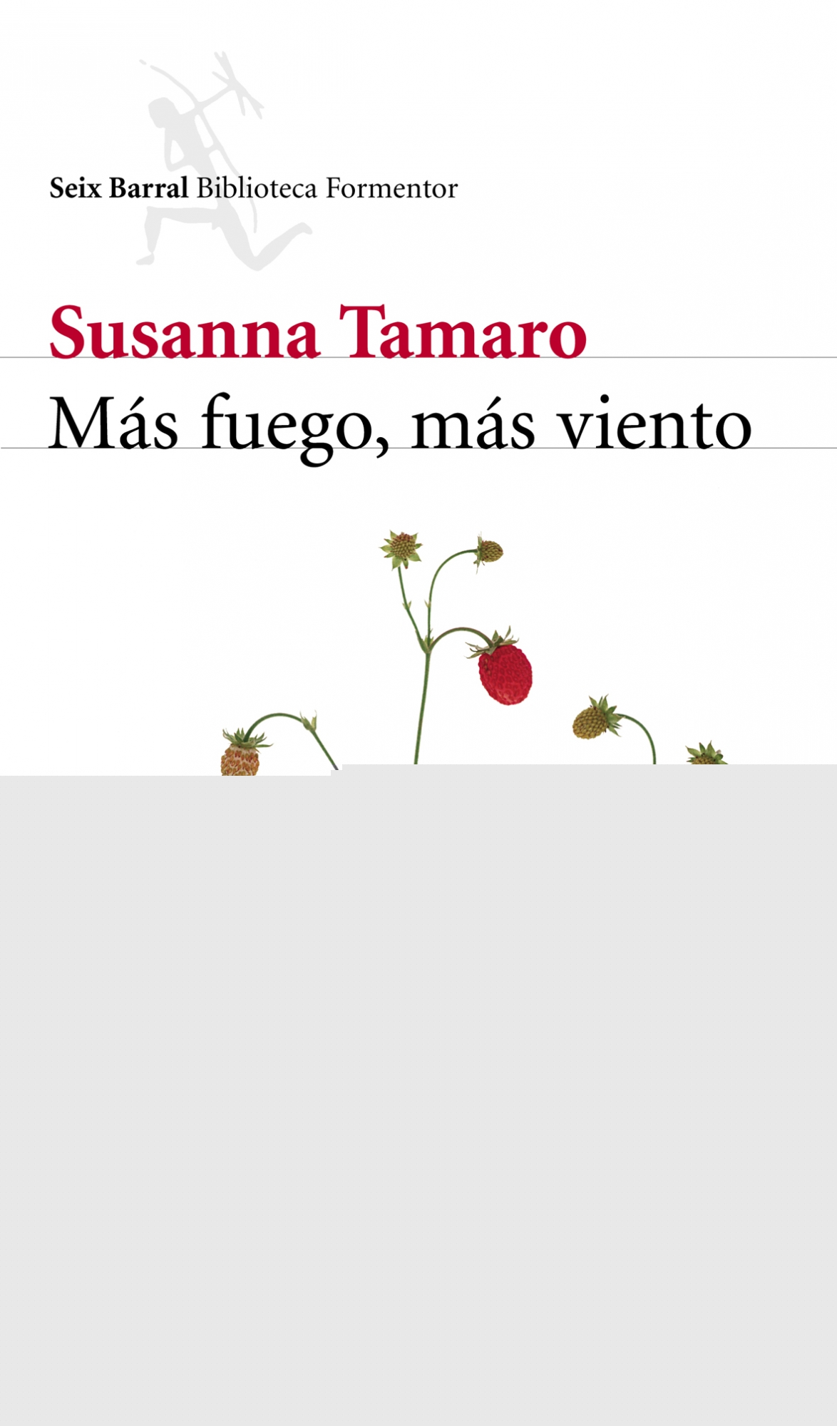 Más fuego, más viento