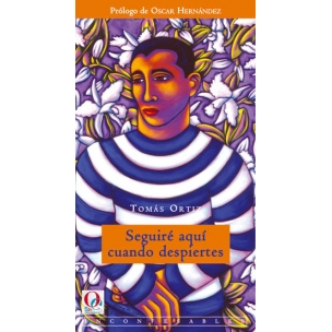 Seguiré aquí cuando despiertes