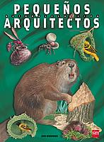 Pequeños arquitectos