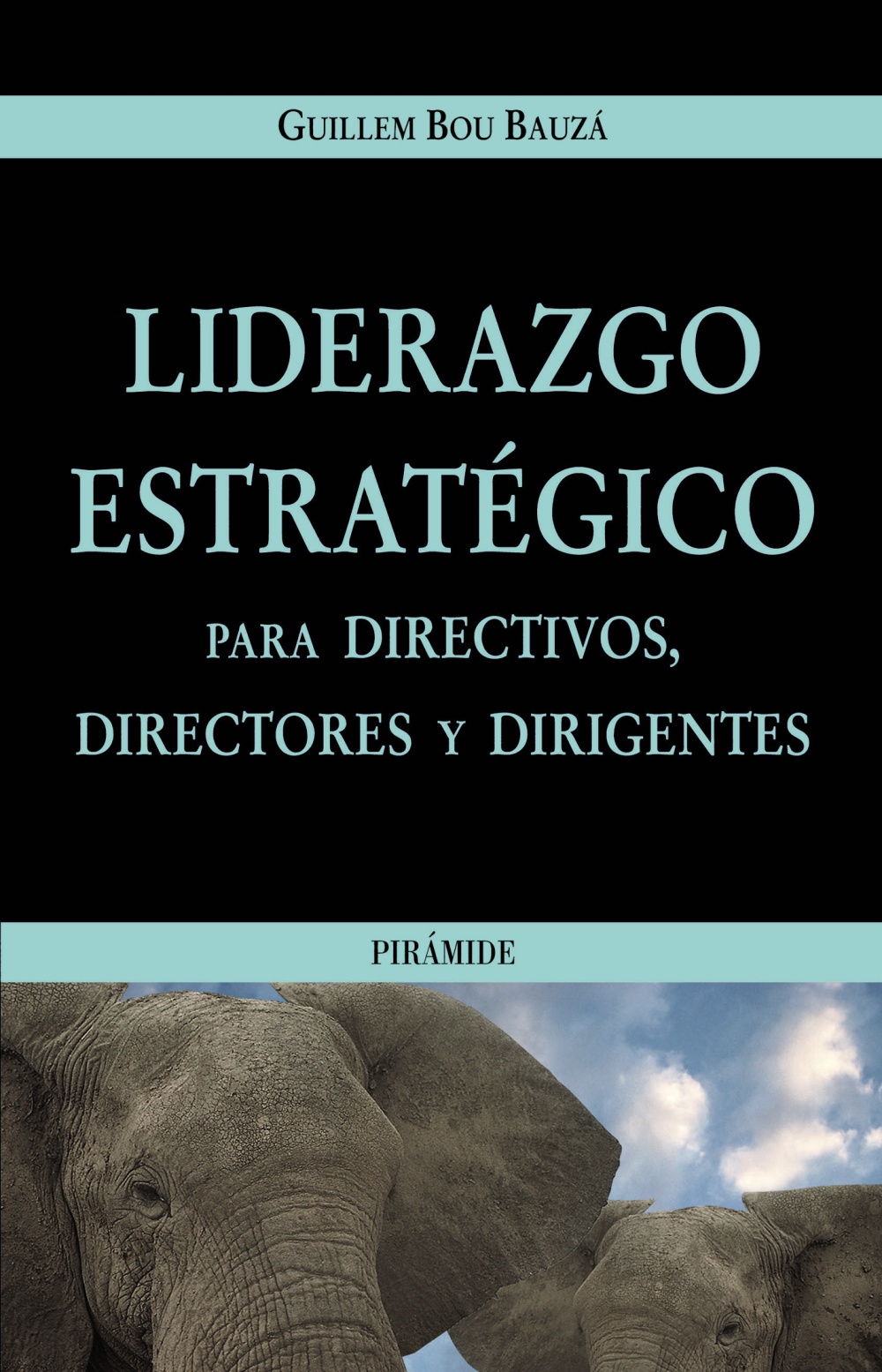 Liderazgo estratégico para directivos, directores y dirigentes