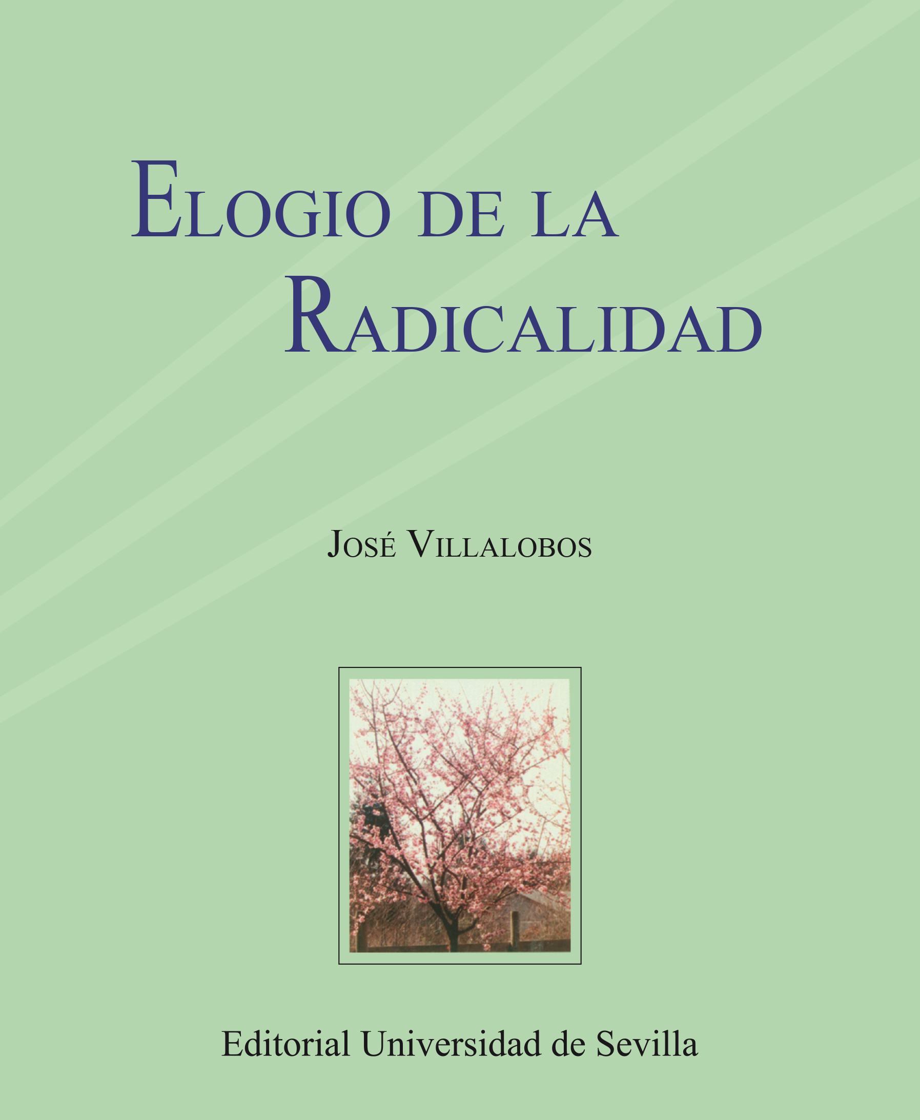 Elogio de la Radicalidad