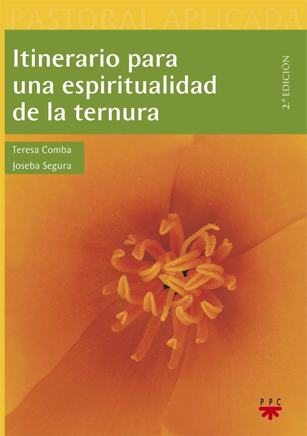 Itinerario para una espiritualidad de la ternura