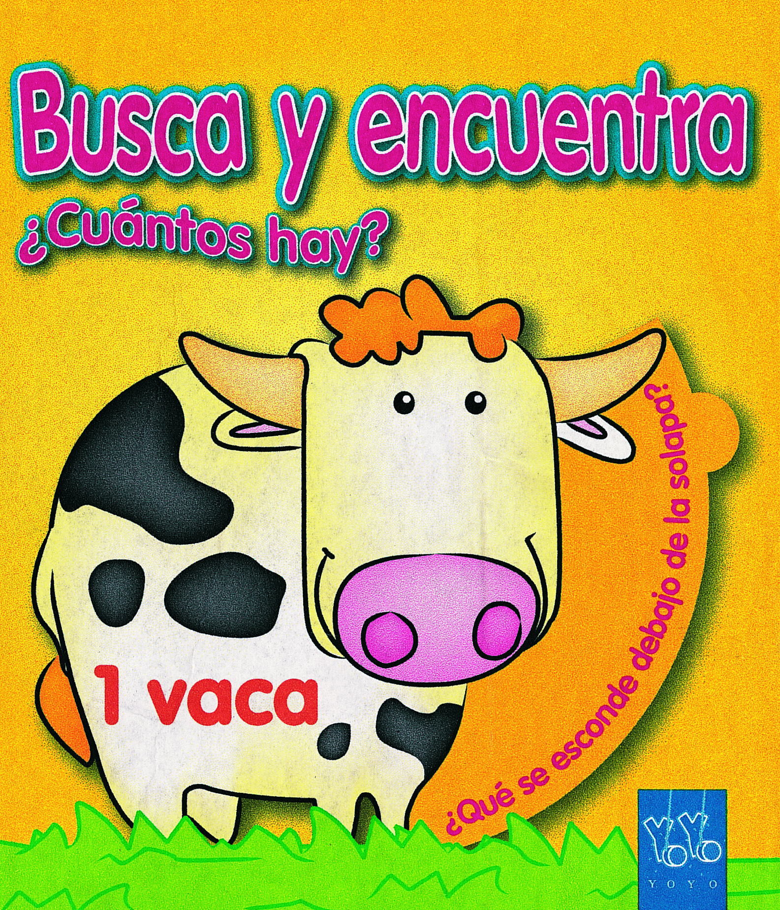 ¿Cuántos hay?