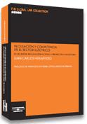 Regulación y competencia en el sector eléctrico. - Evolución, regulación actual y perspectivas de futuro.