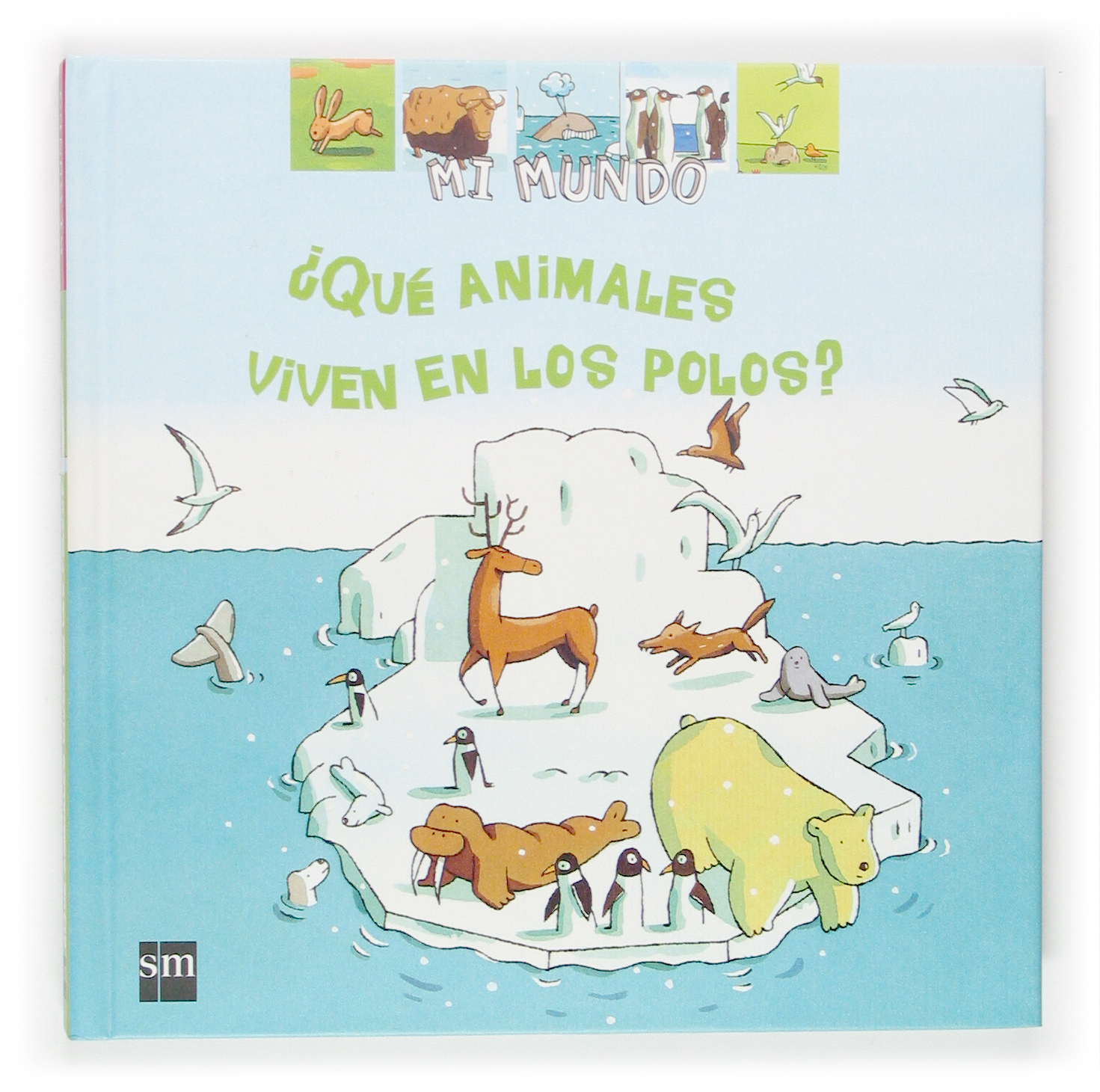 ¿Qué animales viven en los polos?