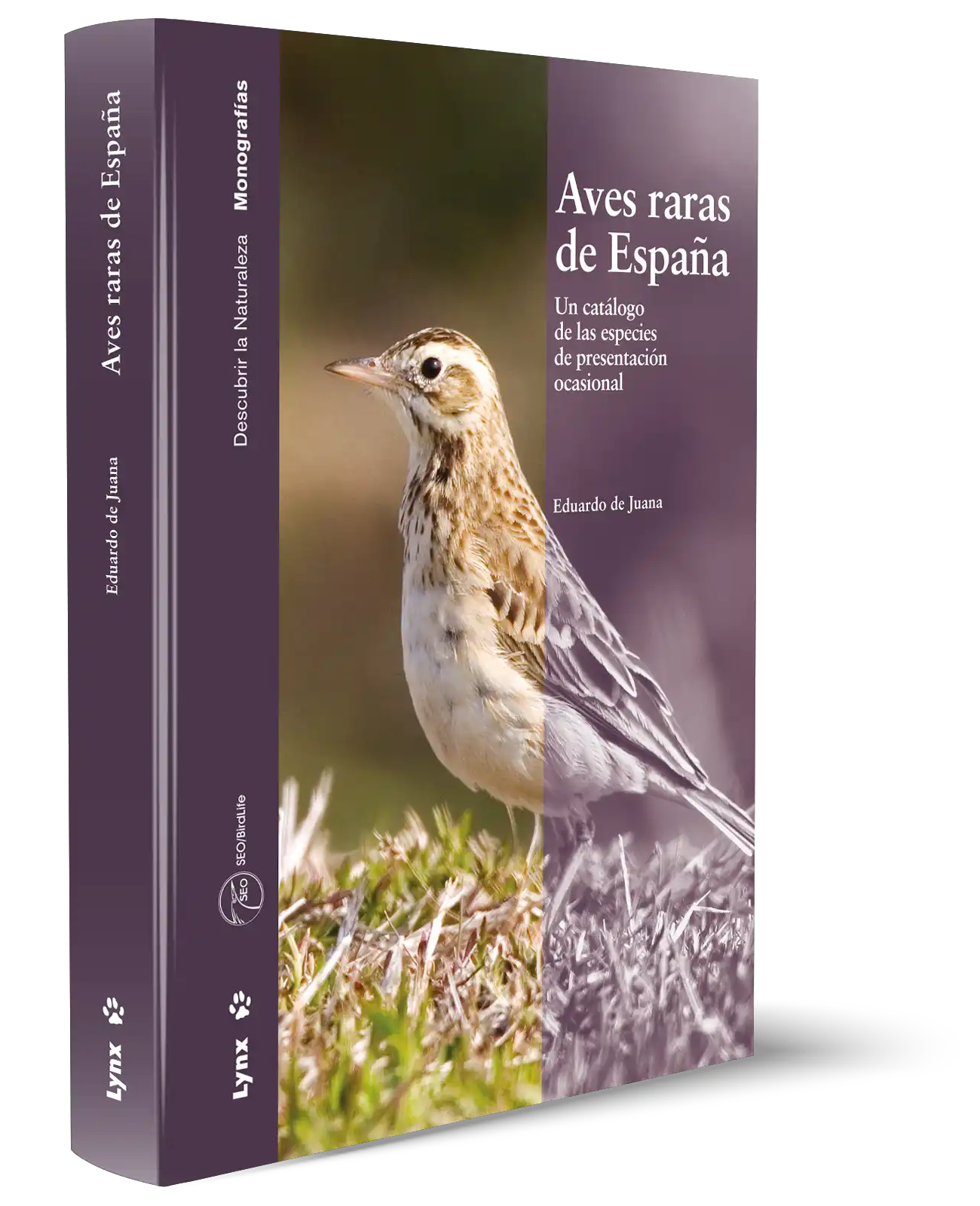 Aves Raras de España