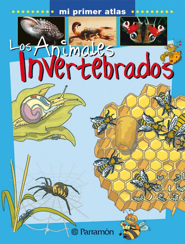 LOS ANIMALES INVERTEBRADOS
