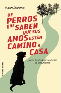 De perros que saben que sus amos están camino de casa