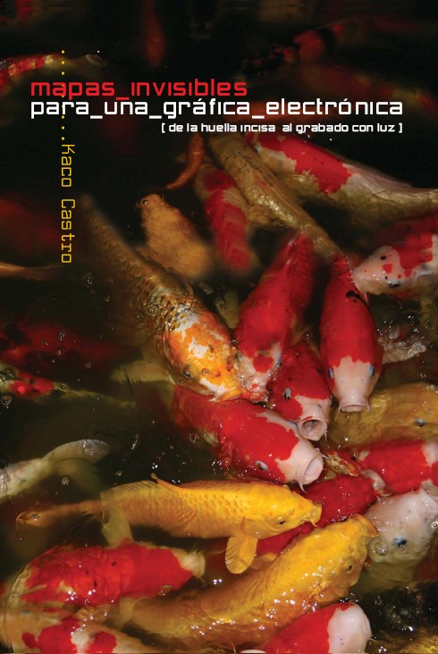 Mapas invisibles para una gráfica electrónica