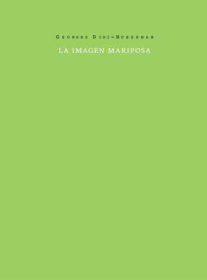 La imagen mariposa