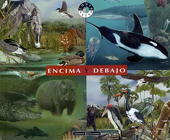 Encima y  debajo