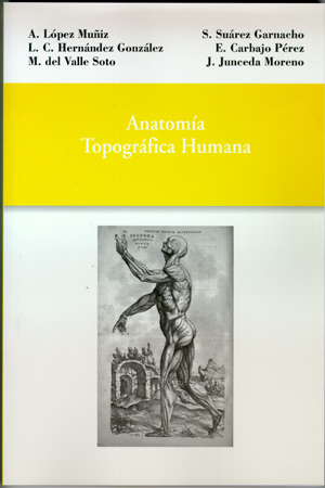Anatomía topográfica humana