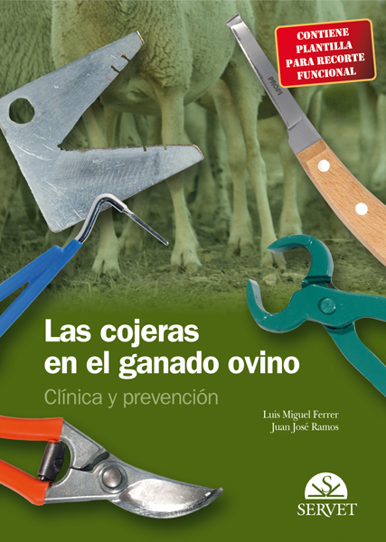 Las cojeras en el ganado ovino. Clínica y prevención