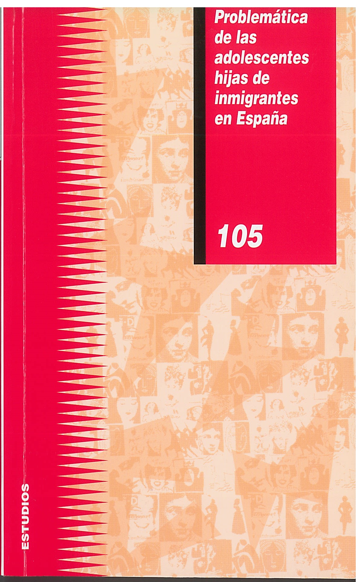 Problemática de las adolescentes hijas de inmigrantes en España