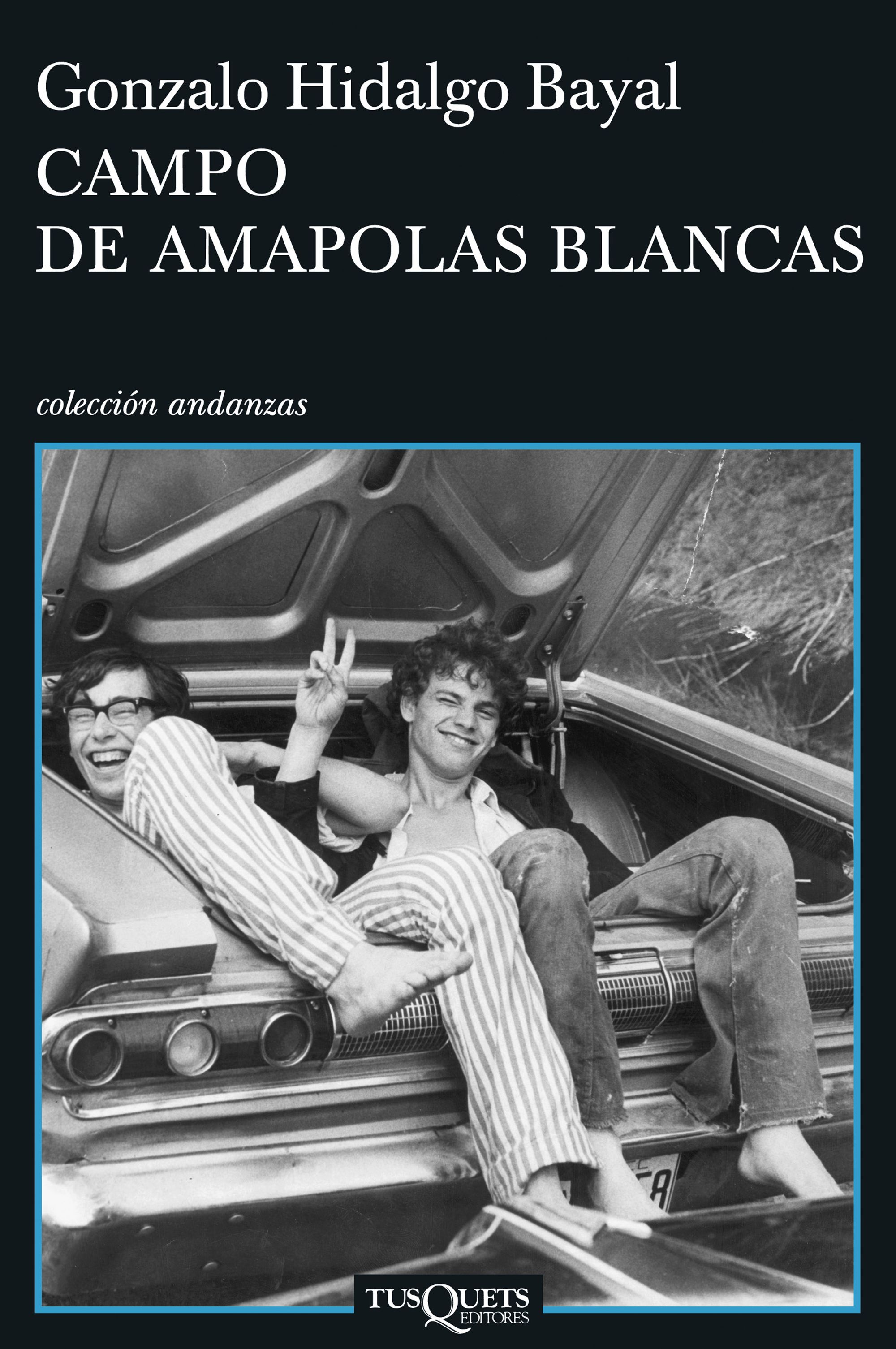 Campo de amapolas blancas