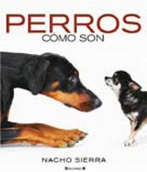 PERROS. COMO SON
