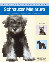 Schnauzer Miniatura