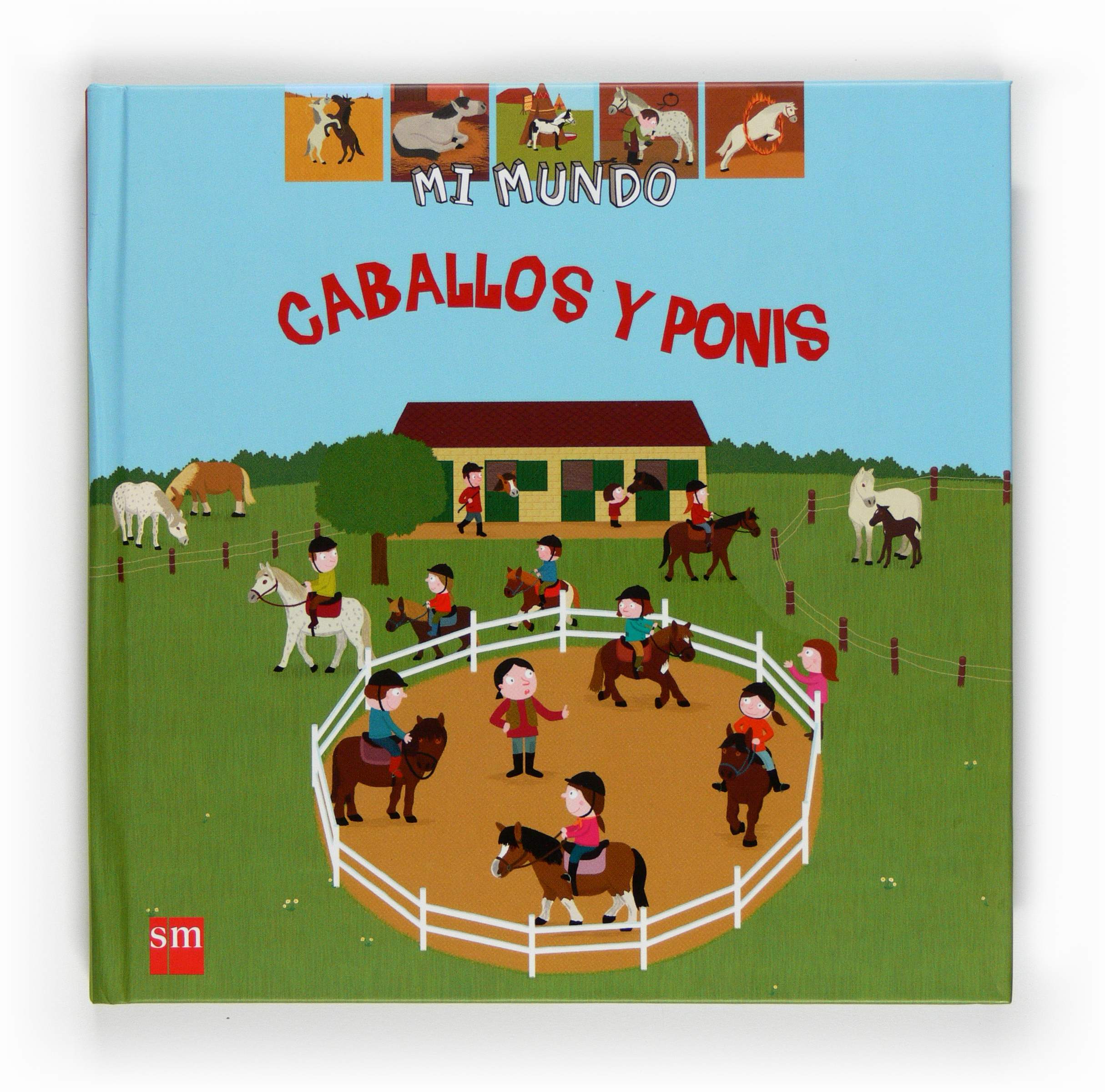 Caballos y ponis