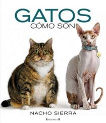GATOS. COMO SON