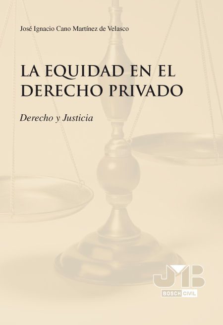 La equidad en el Derecho Privado.