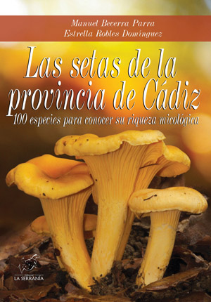 Las setas de la provincia de Cádiz