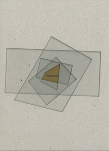 Transversal. BIACS3. YOUniverse