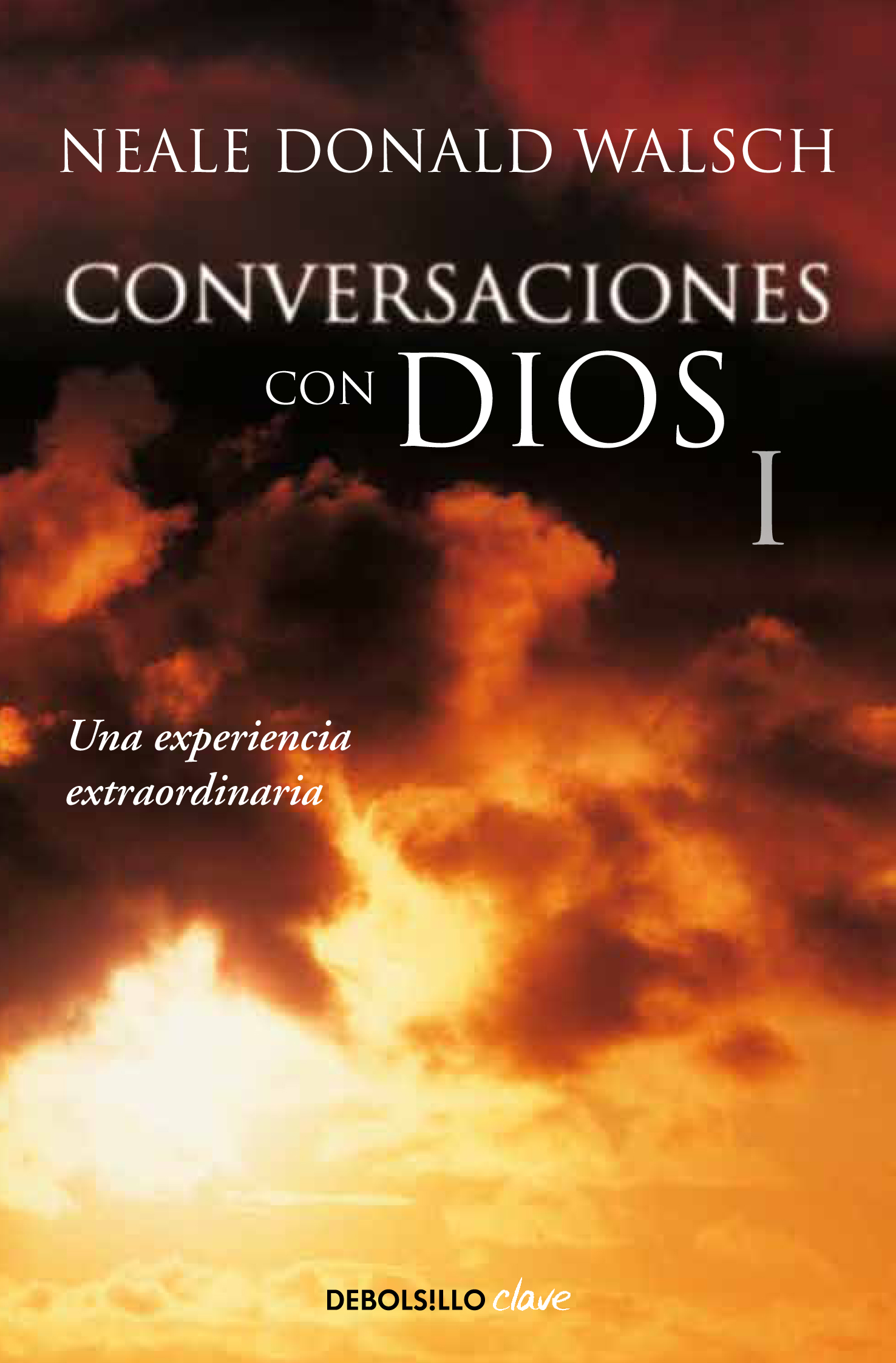 Un diálogo singular ( Conversaciones con Dios 1 )