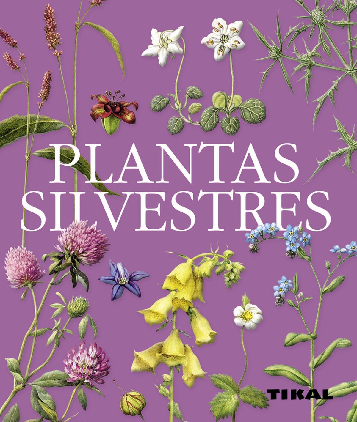 Plantas silvestres