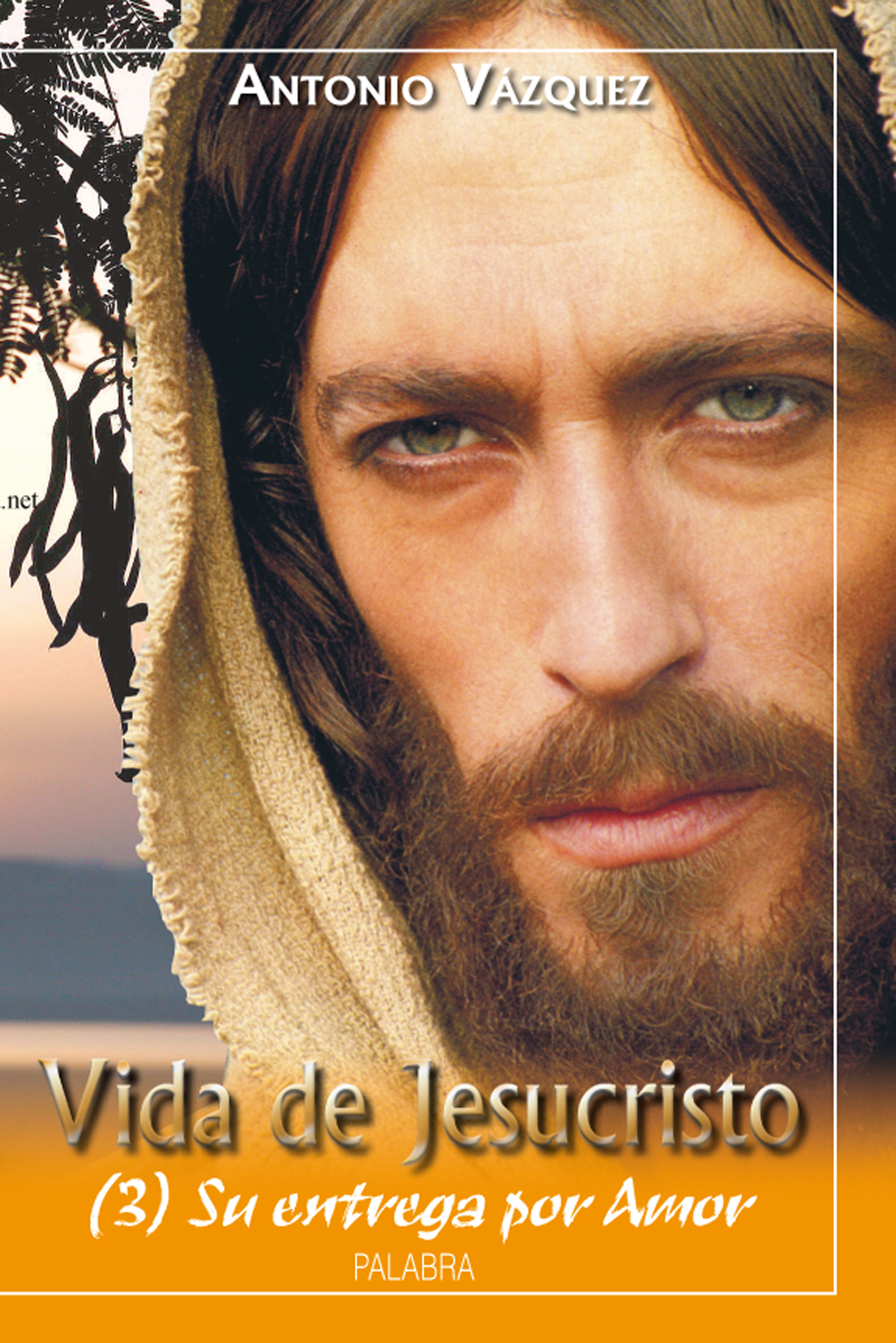 Vida de Jesucristo III