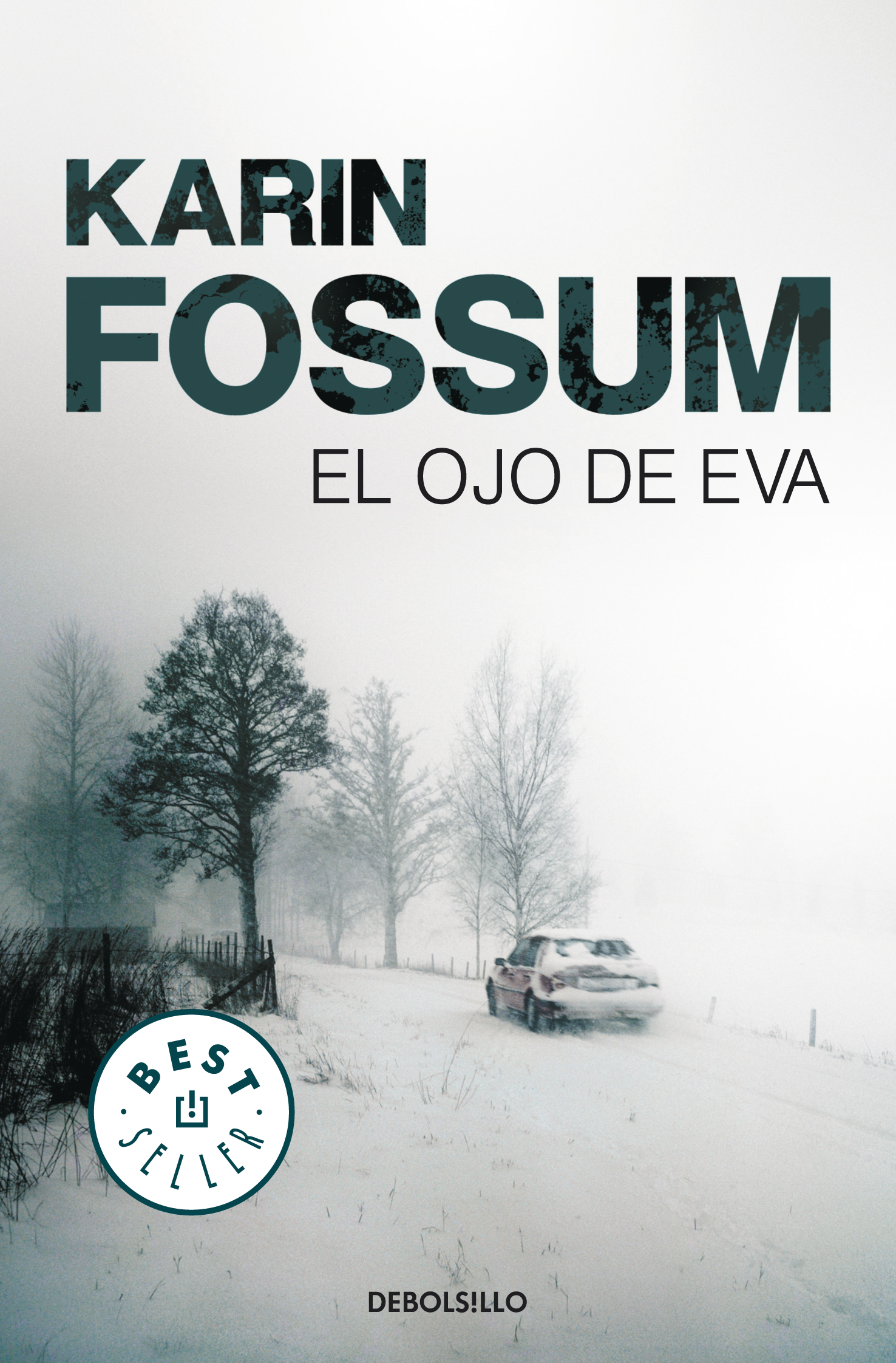 El ojo de Eva (Inspector Sejer 1)