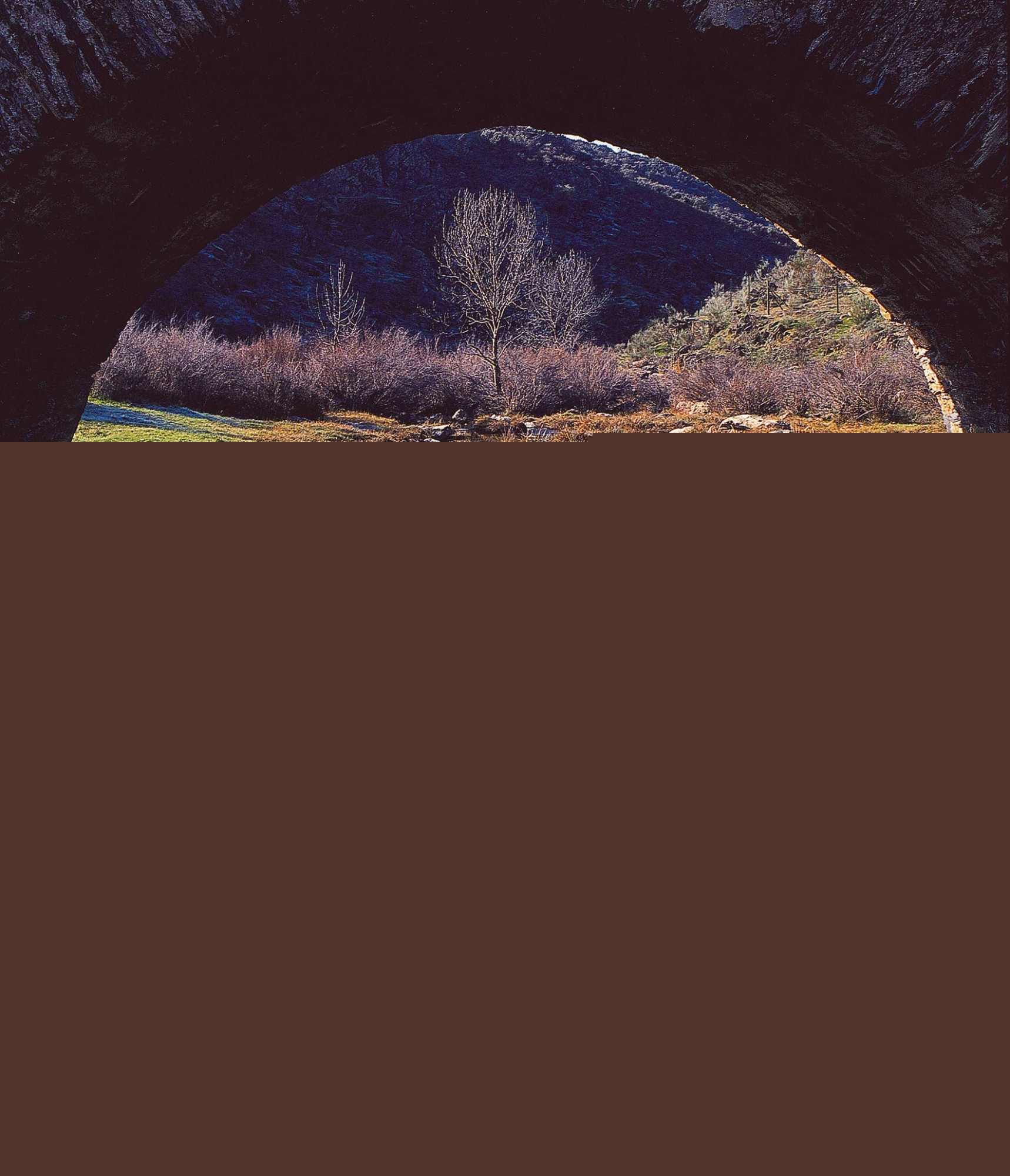 Ríos de España. La trama líquida