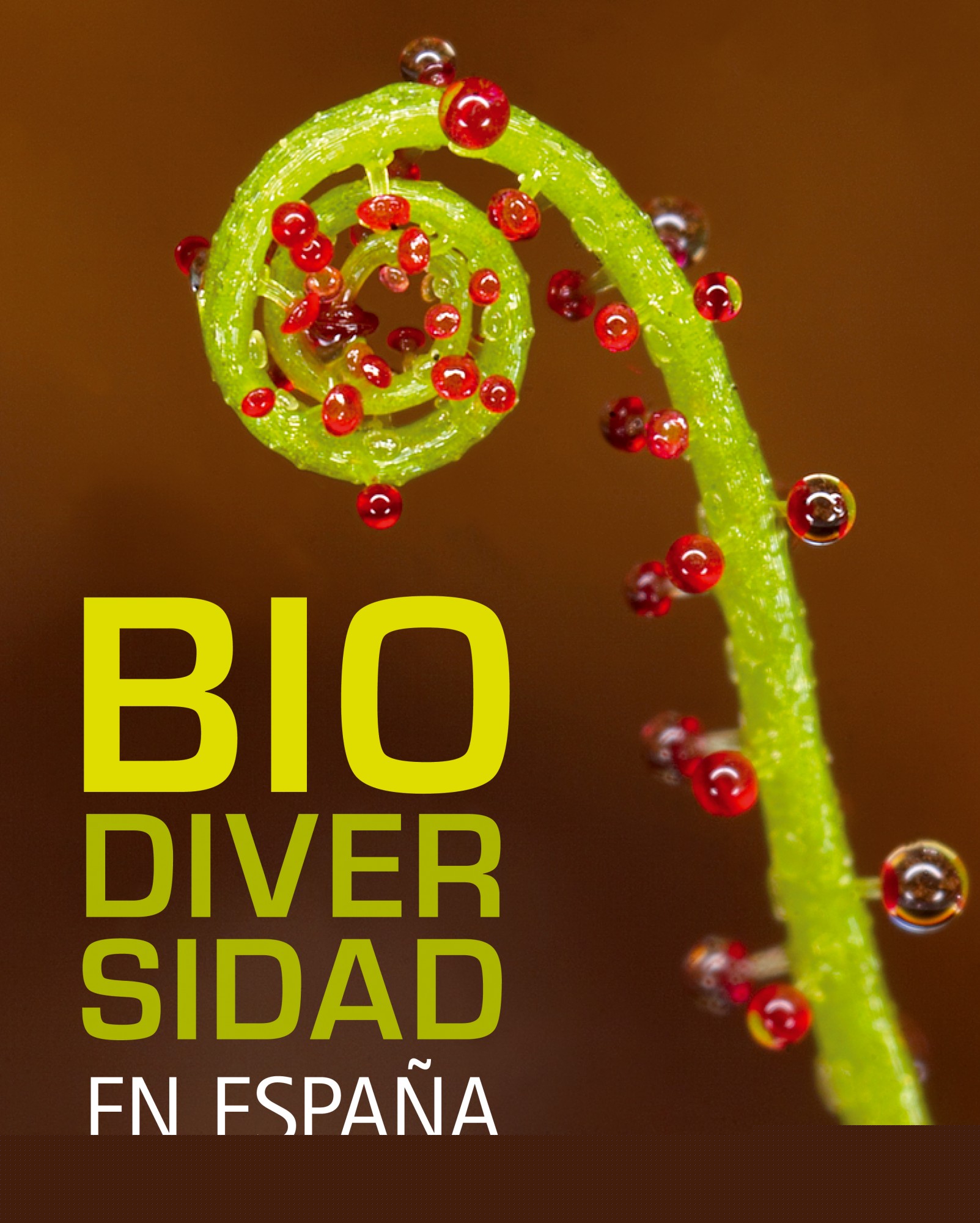 Biodiversidad en España