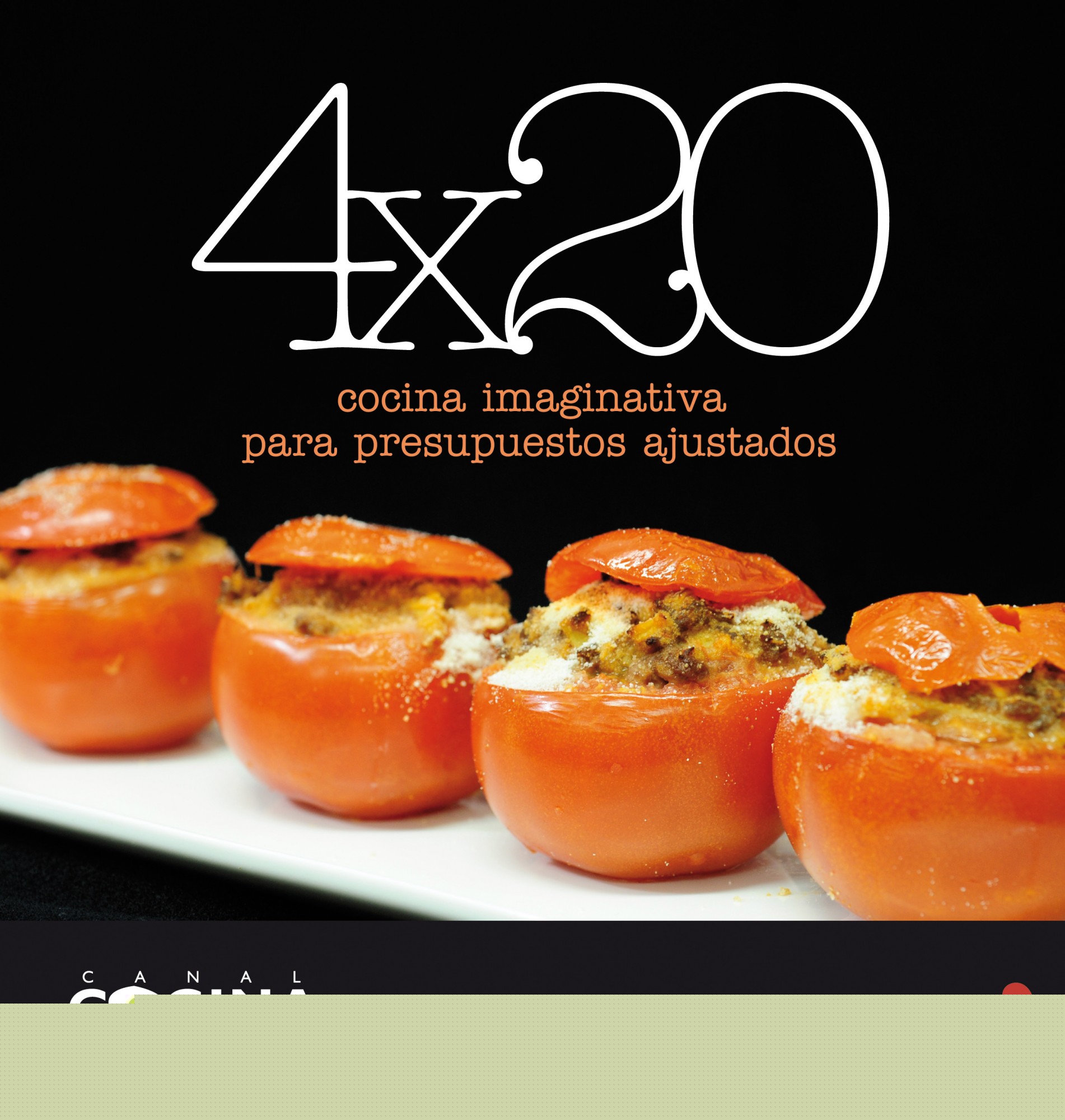 4 x 20