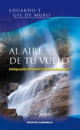 Al aire de tu vuelo