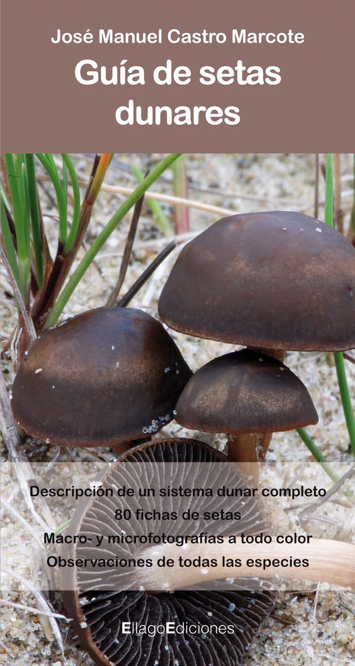 Guía de setas dunares