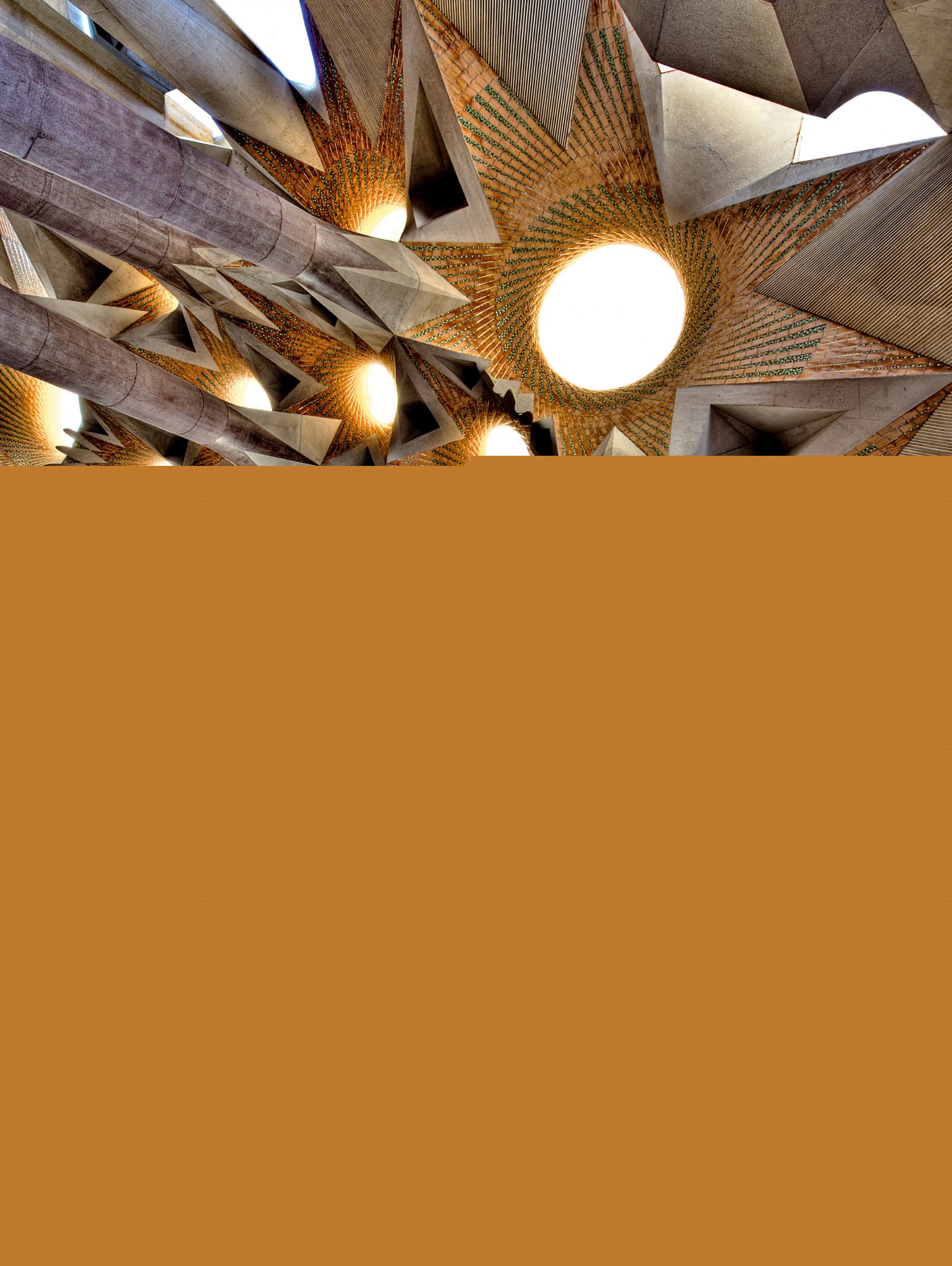 La Sagrada Familia de Gaudí. El temple expiatori des dels seus orígens fins a av