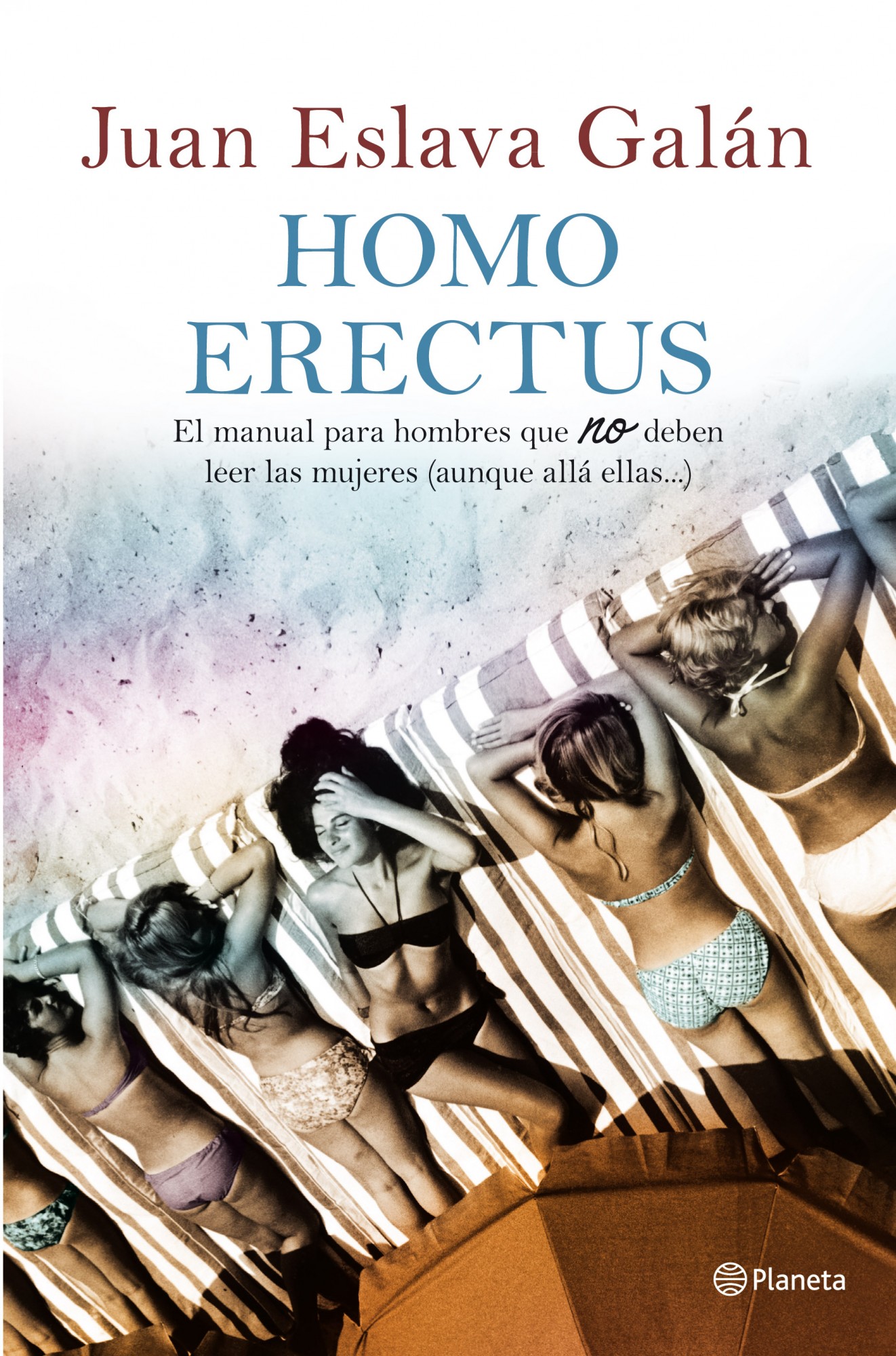 Homo erectus