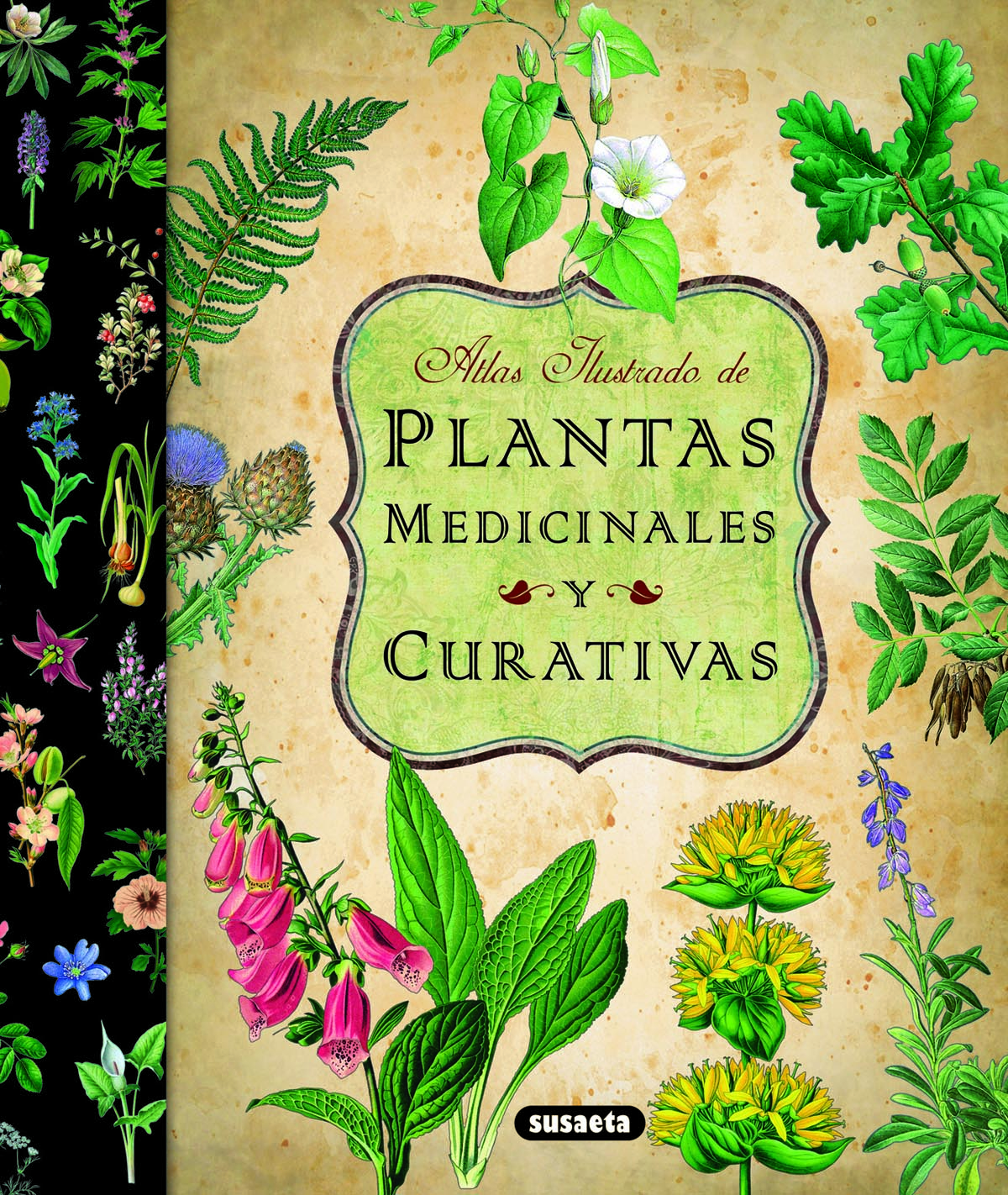 Plantas medicinales y curativas
