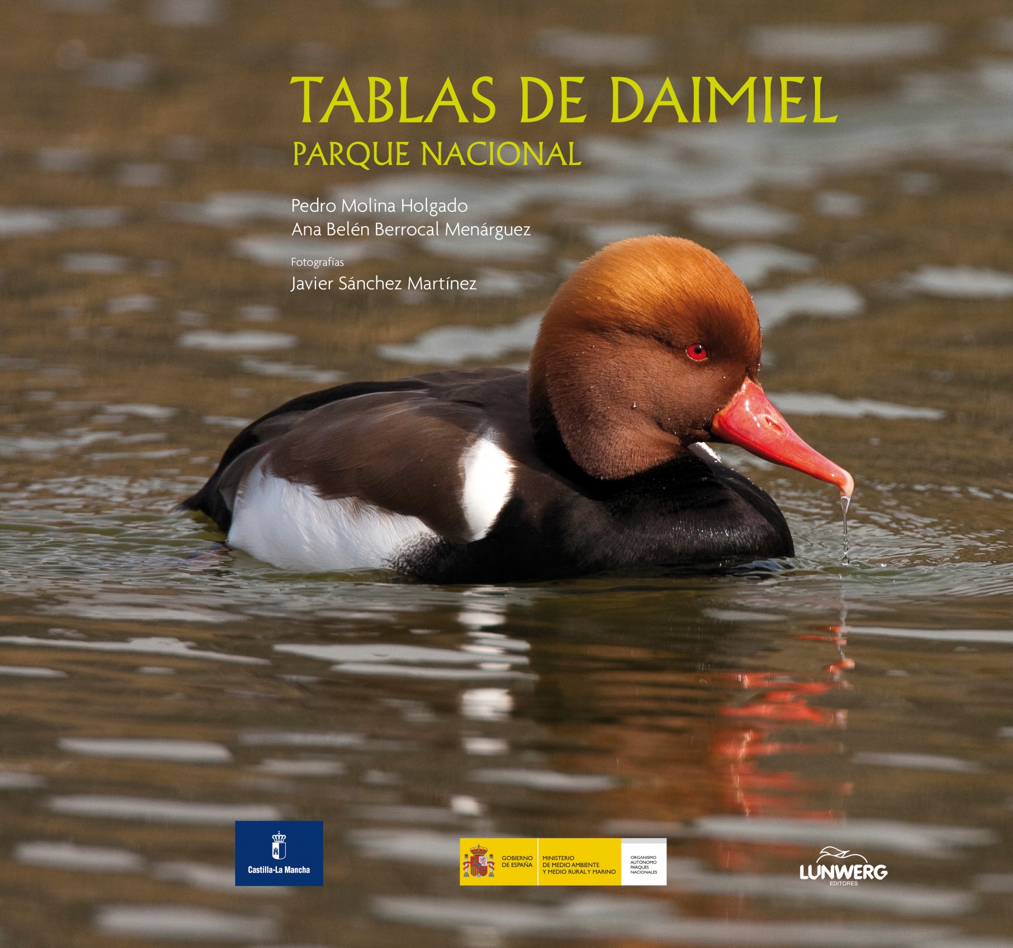 Tablas de Daimiel